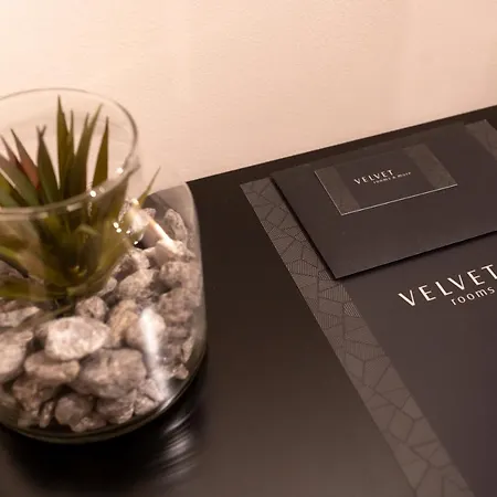 Velvet & ゲストハウス ザダル