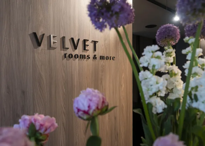 בית הארחה Velvet & 4*