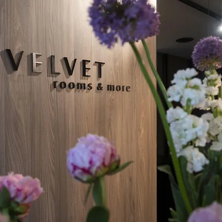 게스트하우스 Velvet & 4*