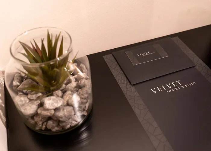 Velvet & 게스트하우스 자다르